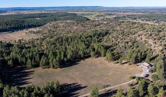 567 Double D Rd, Bayfield, CO 81122