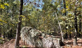 Tract 51 Highway 2, Antlers, OK 74523