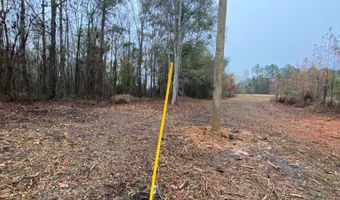 1001 Crawford Creek Rd, Ashford, AL 36321