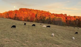 25568 Calima Dr, Abingdon, VA 24210