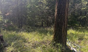 554 Swan Hill Dr, Bigfork, MT 59911