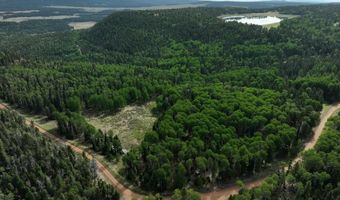 168 Mertz Pl Lot 65, Angel Fire, NM 87710