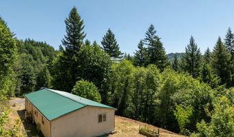 5530 LEWIS RIVER Rd, Ariel, WA 98603