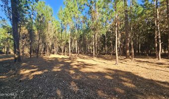 22 Peterson Creek Rd, Aurora, NC 27806