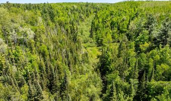 75 59 AC Brosseau Rd, Afton, MI 49705