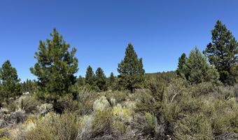 Bufflehead Drive 18, Bonanza, OR 97623