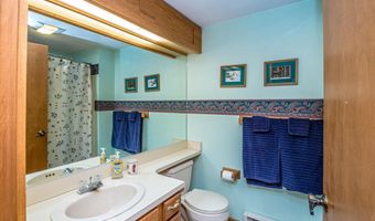 30 Christmas Mountain Rd H30, Bartlett, NH 03812