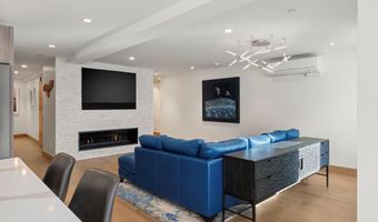 447 E Cooper Ave 1, Aspen, CO 81611