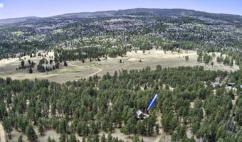 14 Winterwood Ct, Angel Fire, NM 87710