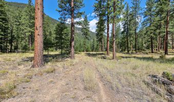 13902 Highland Trl, Alberton, MT 59820