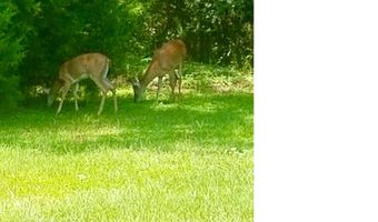 5406 Steele Rd, Baker, FL 32531