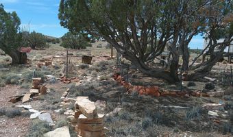 98 N9222, Concho, AZ 85924