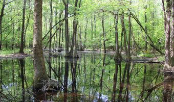 Ruffner Road 00, Barnesville, GA 30204