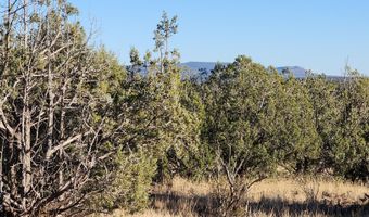 88- B Rose Ln, Ash Fork, AZ 86320