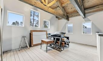 141 N ASPEN St, Alma, CO 80420