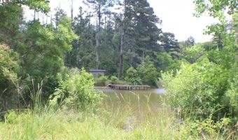 Vine Drive, Brandon, MS 39047