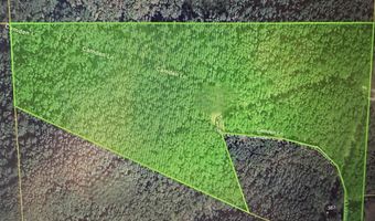 Camden Lane, Amity, AR 71929