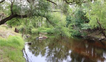 2998 SW Armadillo Trl, Arcadia, FL 34266