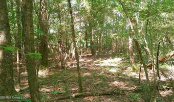 Pleasant Hills Road, Amory, MS 38821