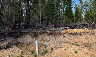 NHN Perkins Gulch Road, Anaconda, MT 59711