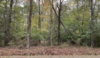 21 2AC Neal Parker Rd, Withams, VA 23488