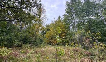 34 Xxx 80ac 298th St, Aitkin, MN 56431