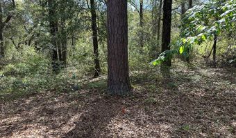 Lot 8C Knollwood Circle, Bainbridge, GA 39819