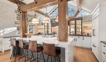 1271 Ute Ave, Aspen, CO 81611