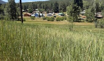 473 Alpine Forest Dr, Bayfield, CO 81122