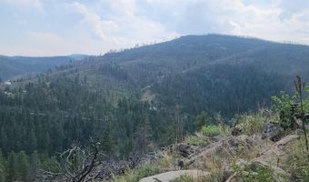 693 Cougar Dr, Bellvue, CO 80512