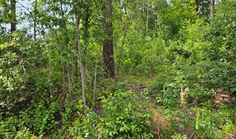 671 Penlan Rd Lot 1, Arvonia, VA 23004