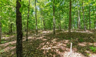 503 County Road 101, Alton, MO 65606