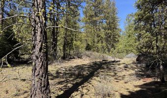 Horned Owl Way 385461, Bonanza, OR 97623
