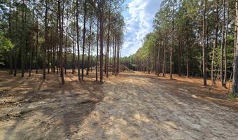 5 88 Acres COVINGTON AVENUE Lot 16 Trac1 And Trac2, Attalla, AL 35954