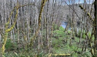 Northrup Creek Rd, Birkenfeld, OR 97016