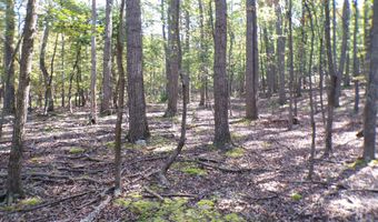BIG HORN TRAIL E-15, Augusta, WV 26704
