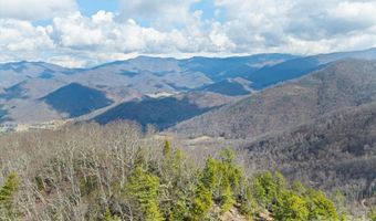 140 Wild Mountain Ln, Barnardsville, NC 28709