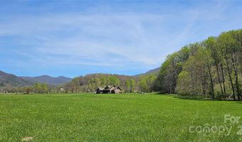 11068 N 226 Hwy, Bakersville, NC 28705