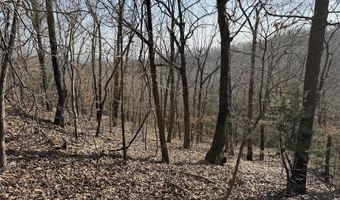 Pecks Drive N, Bergman, AR 72615