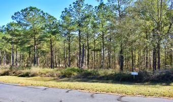 Lot 5/6 Block A Mountain View Way 5, 6, Bainbridge, GA 39819