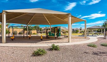 642 E Torrey Pines Pl, Chandler, AZ 85249