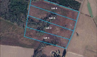 Attadale Rd lot 2, Blenheim, SC 29516