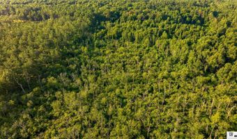 CARPENTER ROAD, Bastrop, LA 71220