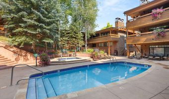 747 S Galena St 230 & 330, Aspen, CO 81611