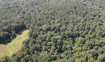 Reeves Road, Ashland, MS 38603