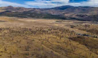 778 Big Valley Rd, Gardnerville, NV 89410