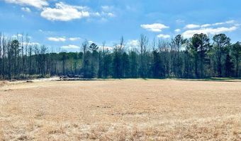 Lot 9 The Arbor Subd. Endville Road, Belden, MS 38826