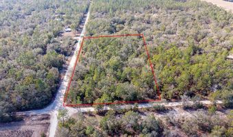 NW 10th Ave, Bell, FL 32619