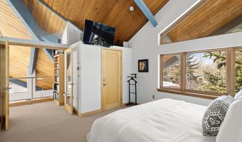 201 Midland Ave, Aspen, CO 81611