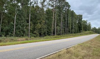 S Henry CR 93/Fisherman's Cutoff, Abbeville, AL 36210